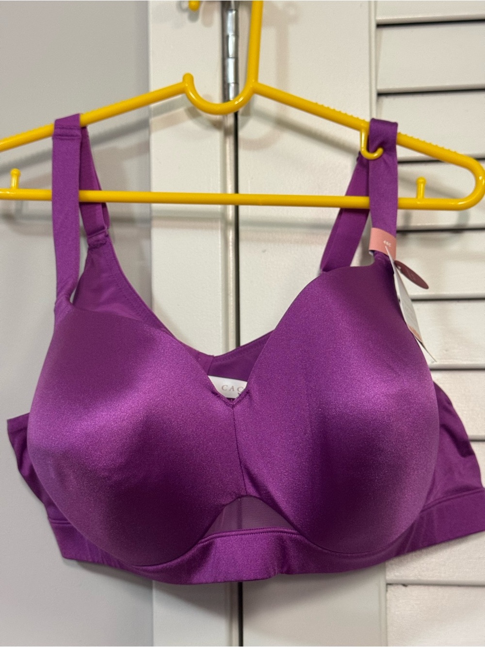 Cacique Bra - 48C